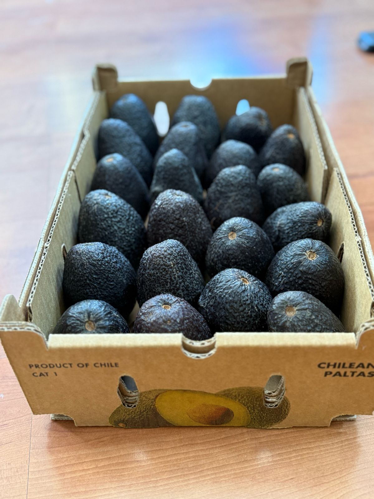 Palta Hass Chilena (220g) caja 4 kilos (Lista)
