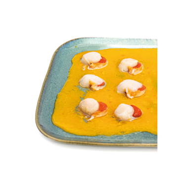 Ostion carne con coral 10kg