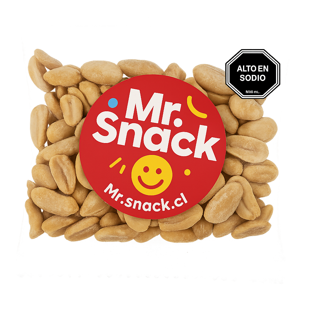 Caja Surtida Mr Snack 100gr x 24 unds