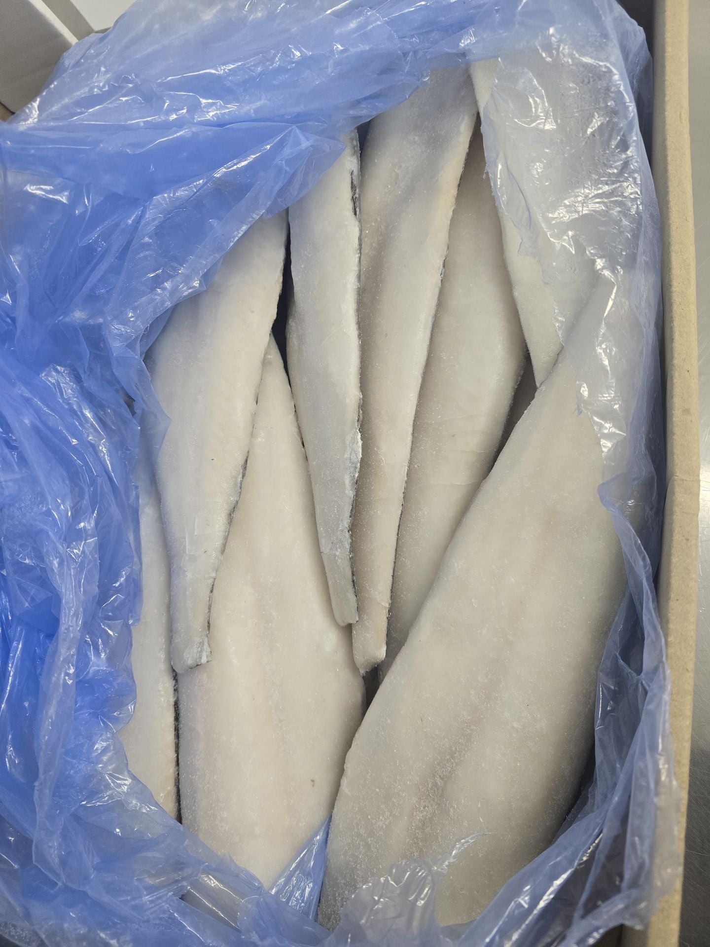 Merluza austral filete 1kg