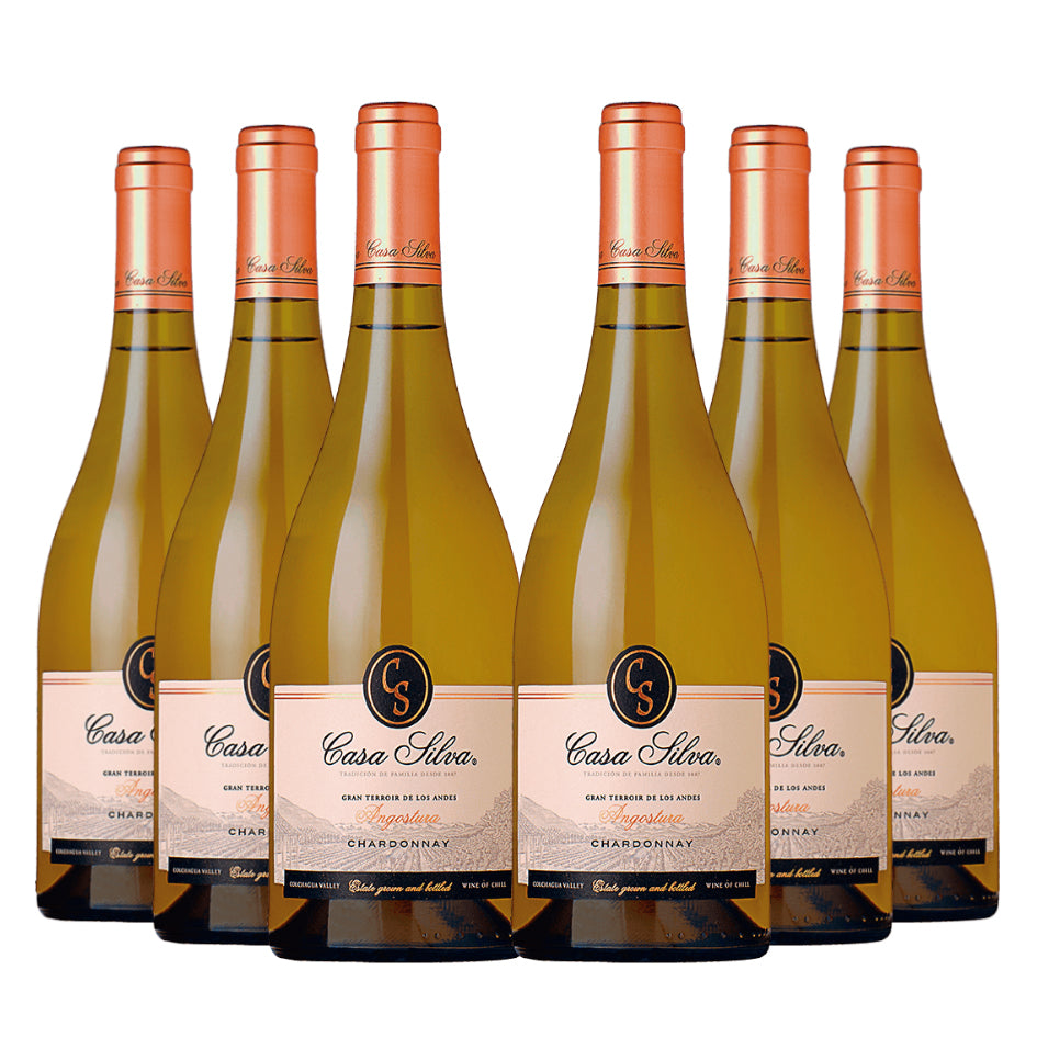 Casa Silva Gran Terroir Chardonnay 6x 750cc