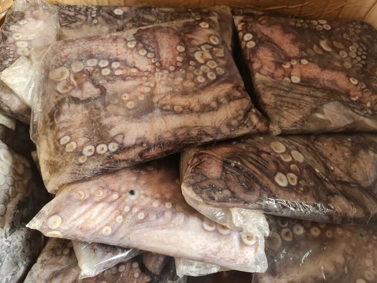 Pulpo del norte 20 kg