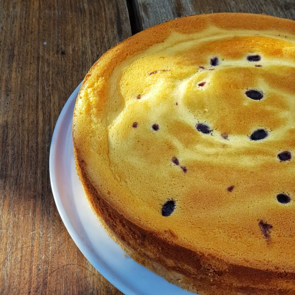 Kuchen ricota arándano