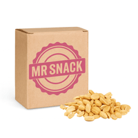Maní tostado salado Mr Snack 15Kg