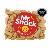 Caja Surtida Mr Snack 100gr x 24 unds