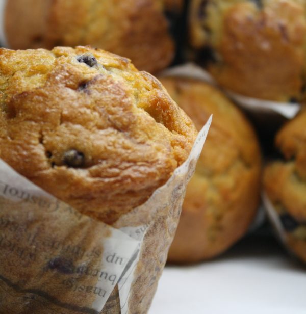 Muffin arándano